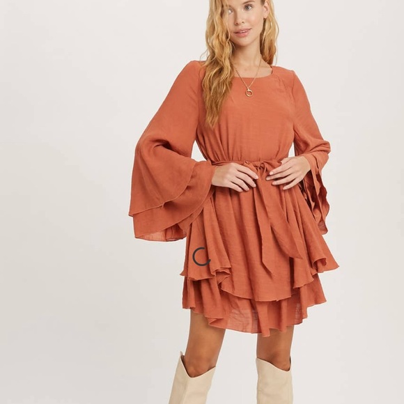 NWT - Ruffle Mini Dress - Picture 3 of 5